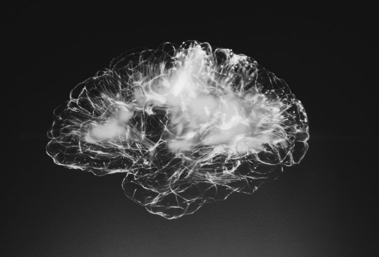 abstract rendering of a transparent brain with fog inside